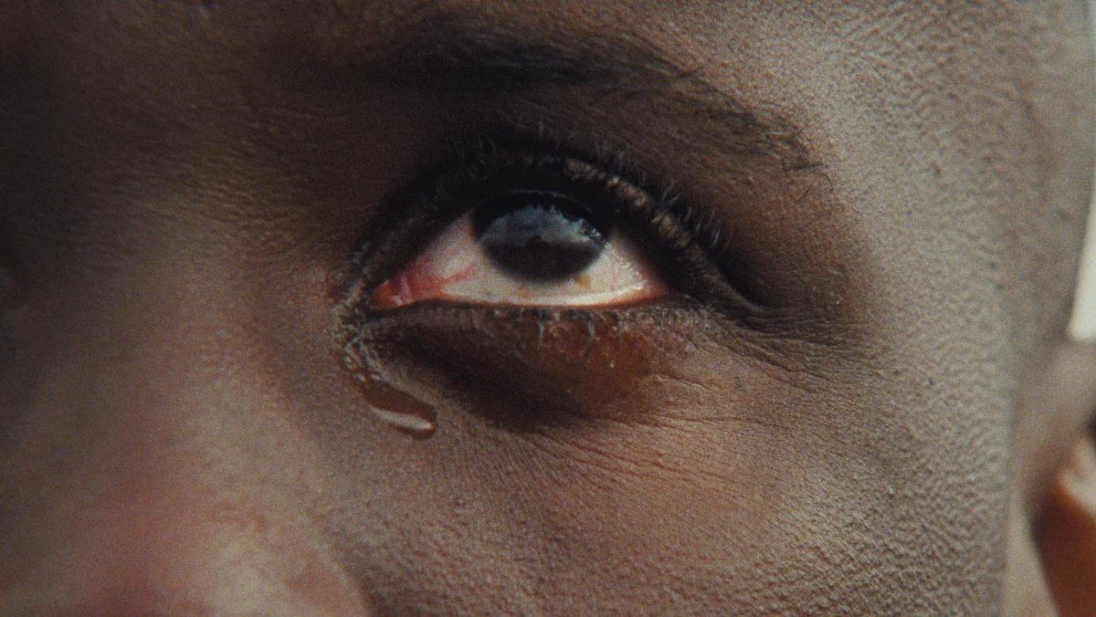 Matthew Boone tweet media