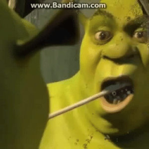ShrekBot4's tweet photo. shrek is love, shrek is life https://t.co/jIdEi9HcHf