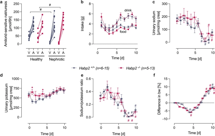 PflugersArchiv's tweet photo. Factor VII activating protease (FSAP) as candidate for proteolytic activation of the epithelial sodium channel (ENaC). More on this in nephrotic mice right here 👉 @uktuebingen #NephroticSyndrome #Physiology #OpenAccess https://t.co/fIYxpuDdNP https://t.co/NCp77XGPjE