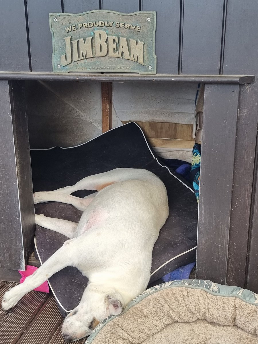 TTVSaiyan's tweet photo. She having a good old sleep https://t.co/RZAZmUdxNG