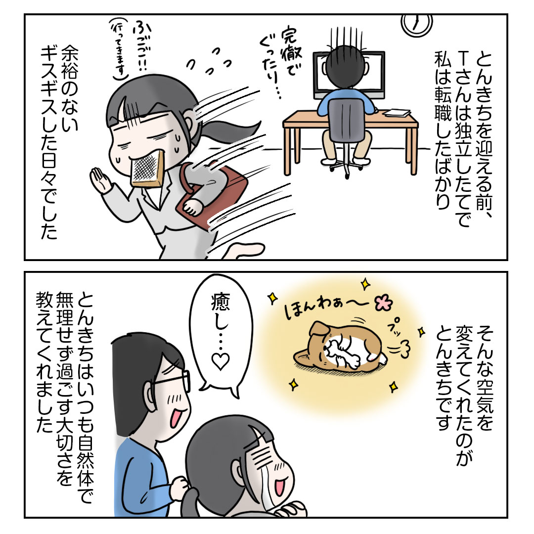 今日はとんきちの誕生日です。10歳になりました。
いつも大切なことを教えてくれる人生の先輩のような存在です。長生きしてほしいなと思います☺️
#コミックエッセイ
#コーギー 