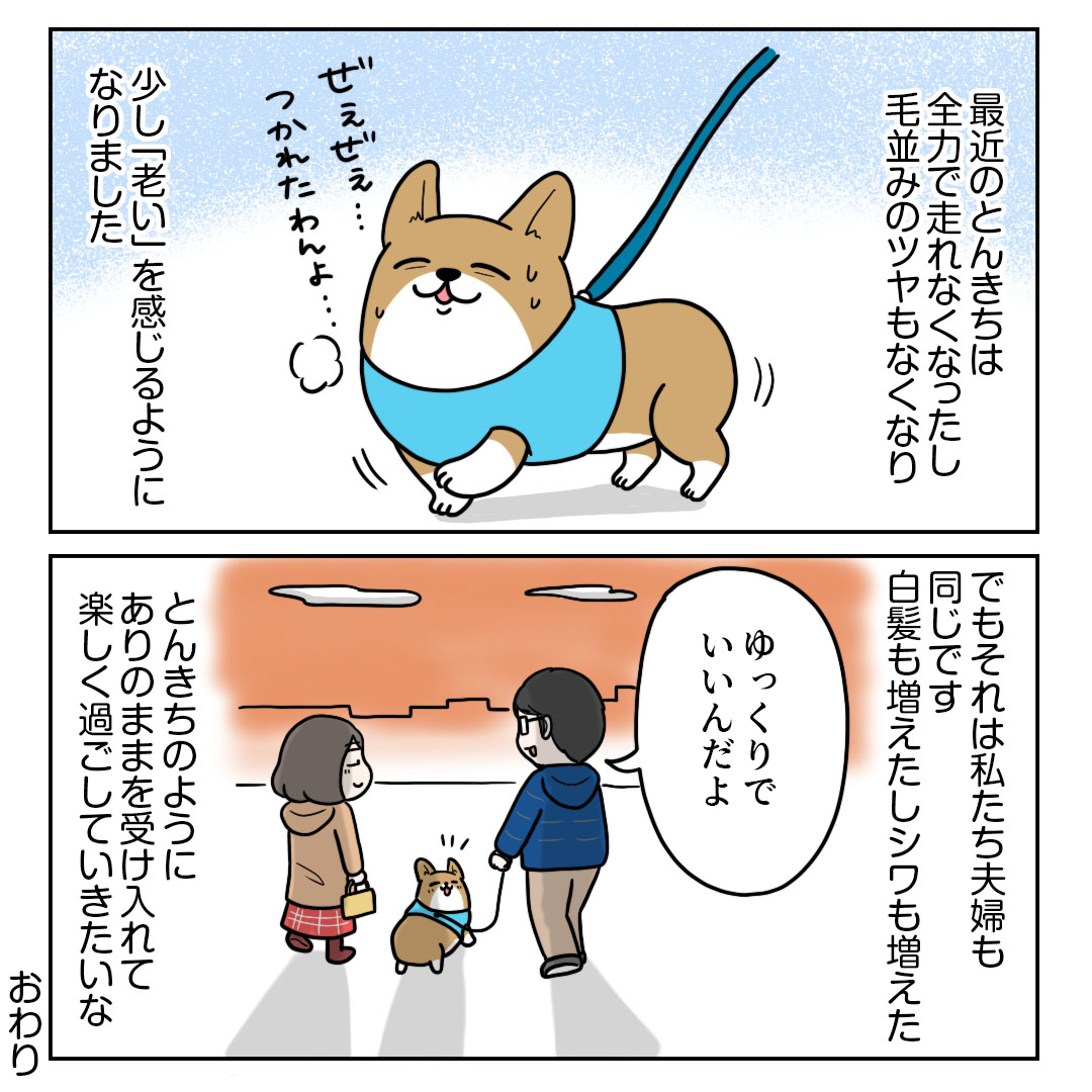 今日はとんきちの誕生日です。10歳になりました。
いつも大切なことを教えてくれる人生の先輩のような存在です。長生きしてほしいなと思います☺️
#コミックエッセイ
#コーギー 