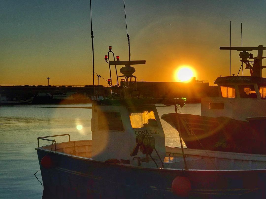 visitvilanova's tweet photo. 🎅B O N D I A☀️
☃️Àmplia proposta d'activitats:
1⃣Menú Migdia a “1918 Cuina de Mar”
2⃣Bateig de busseig de Nadal
3⃣Allotjaments romàntics
4⃣Comprar amb #Vilabons
Reserva ara🔻
https://t.co/BEfSwfDPSV
#VilanovailaGeltru 🎄#Nadal
📸IG: jjtrejo https://t.co/Wfj5hHvgI7