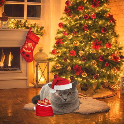 #NewProfilePic Christmas is coming!! Woo hoo!! 🎄🎄🎅🔮🎁