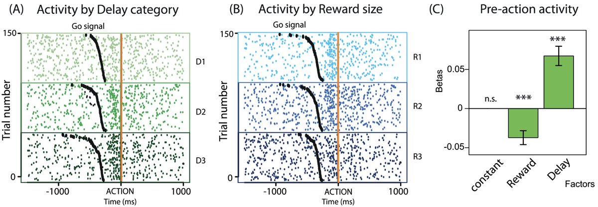 BohacekLab's tweet image. 🔵Exciting new work from Sebastian Bouret's lab for all #LocusCoeruleus lovers: "Our data show that LC neurons dynamically track the amount of effort produced to face both cognitive and physical challenges with subsecond precision." 
Also data on reward!🐵 journals.plos.org/plosbiology/ar…