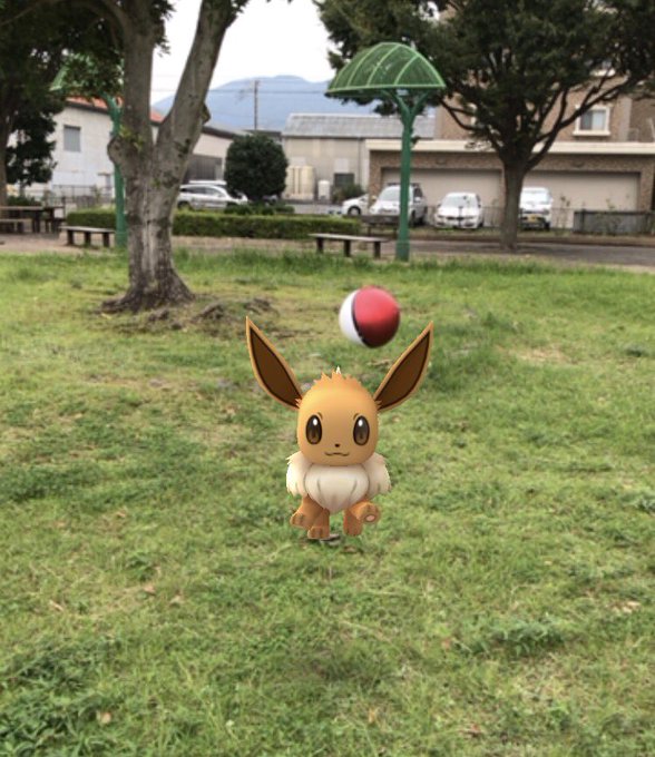 リアルポケモンのtwitterイラスト検索結果