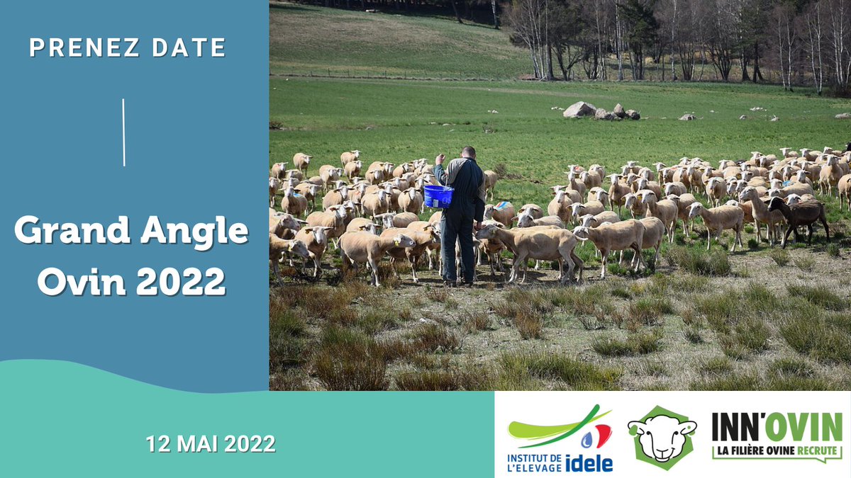 Prenez date | Grand Angle #Ovin 2022 🐑
📅 12 mai
📌 Répondre au défi de la #durabilité en élevage ovin 🐑
↪ Quelles conséquences techniques, économiques &amp; sociales de la prise en compte des enjeux #environnementaux 🌍 ? 
🔸 Avec <a href="/Inn_Ovin/">Inn'Ovin</a>
Info : cutt.ly/JYGmym9 
#GAOvin