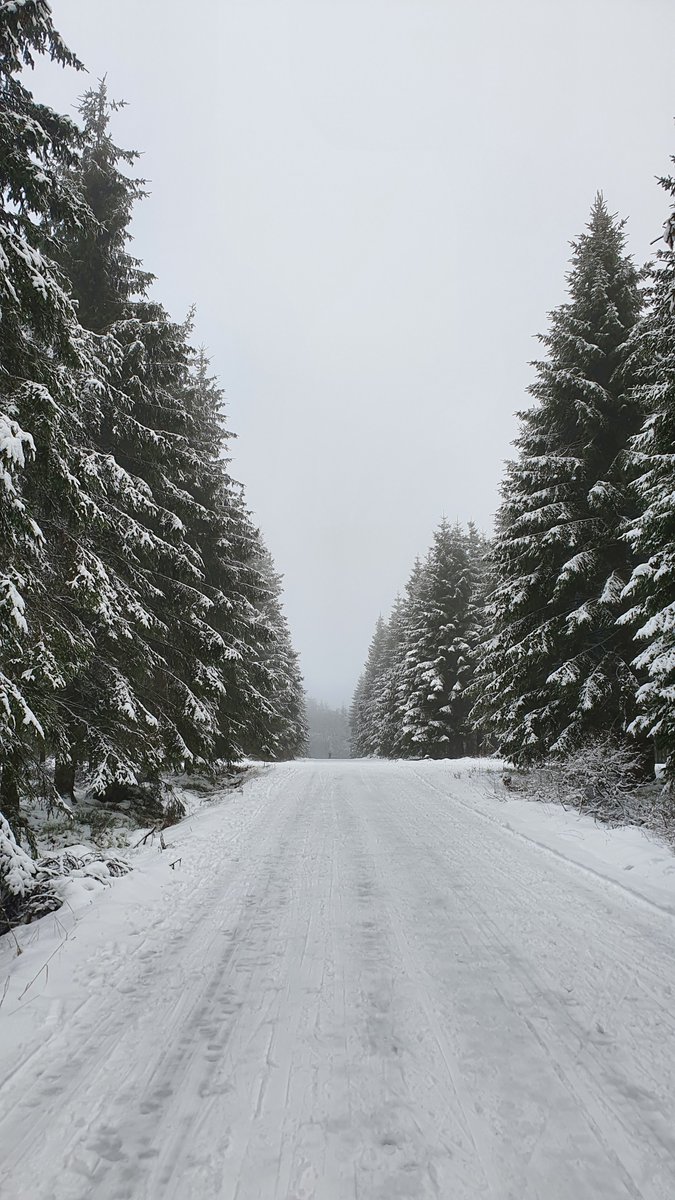 MrPhilippe_'s tweet photo. Winter is here! ❄️🌲 #Winter #Snow #Belgium #Signaldebotrange https://t.co/FKItnRzv52
