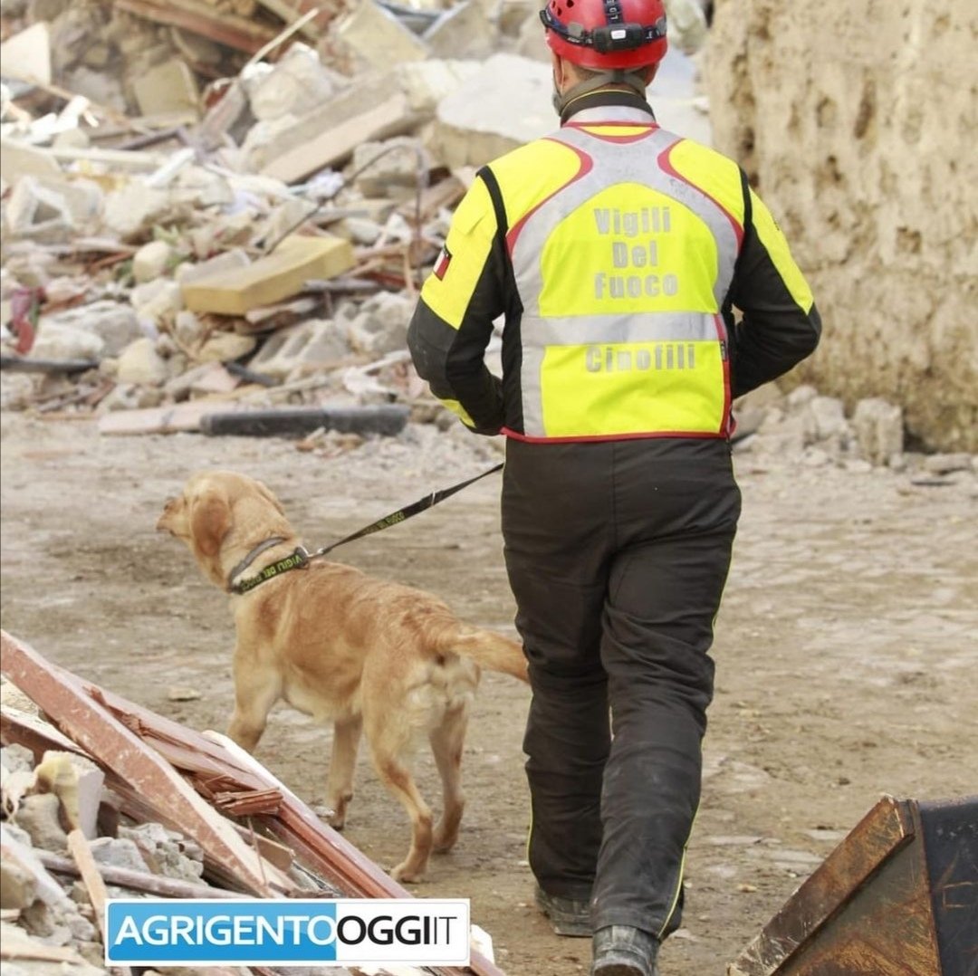 🙏 Una preghiera per le vittime e i feriti del crollo delle palazzine di Ravanusa, e un grazie a tutti i pelosi che stanno lavorando incessantemente da 24 ore alla ricerca dei dispersi

#crolloravanusa #Ravanusa