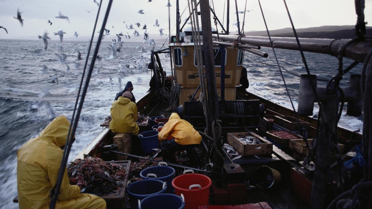 судно для ловли рыбы. рыболовецкий сейнер. рыбак в лодке. рыбак профессия. моряк ловит рыбу.