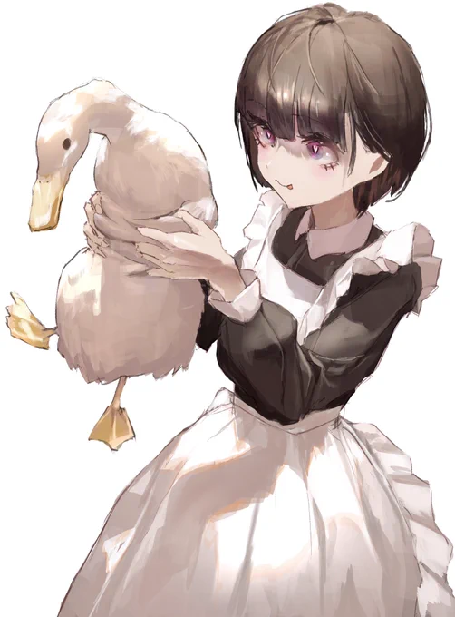 人と動物 