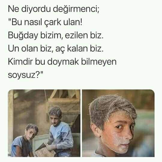 Durum tam olarak bu