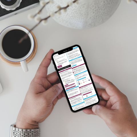 Weet je na de laatste persconferentie even niet zo goed meer welke maatregelen uit het steunpakket voor jou gelden? In onze infographic zie je in één overzicht alle huidige regelingen die interessant voor je zouden kunnen zijn!🧐
station88.nl/coronavirus/
#ondernemen #middenbrabant