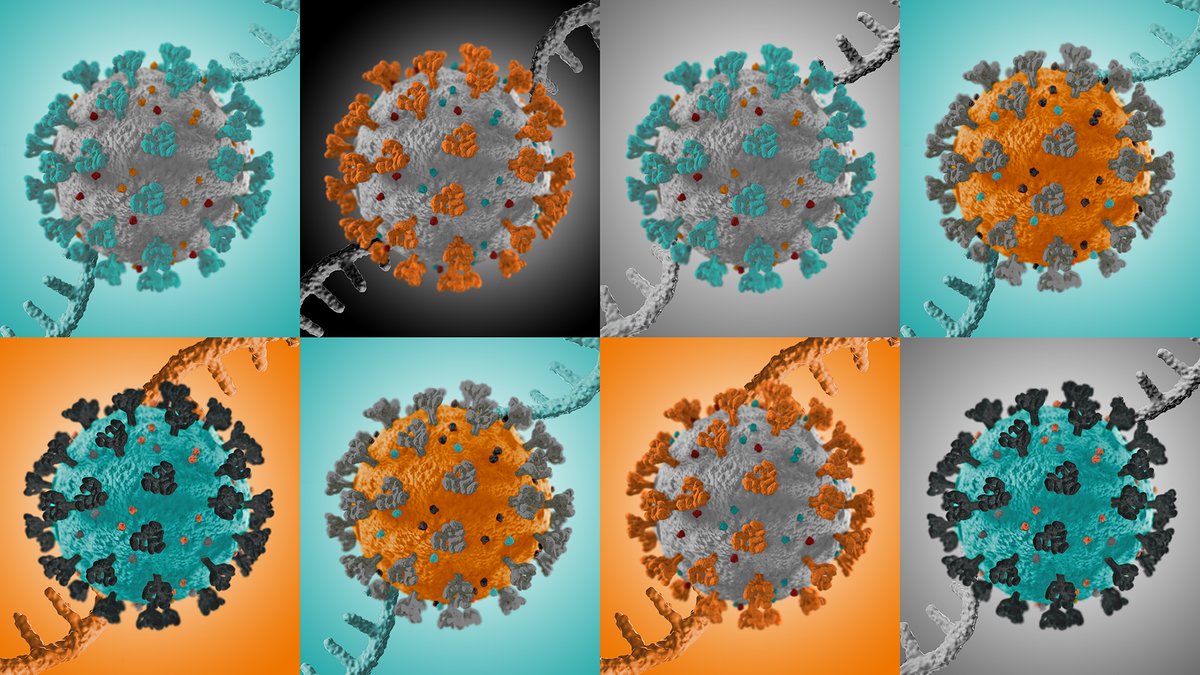 Peter Harrison tweet media