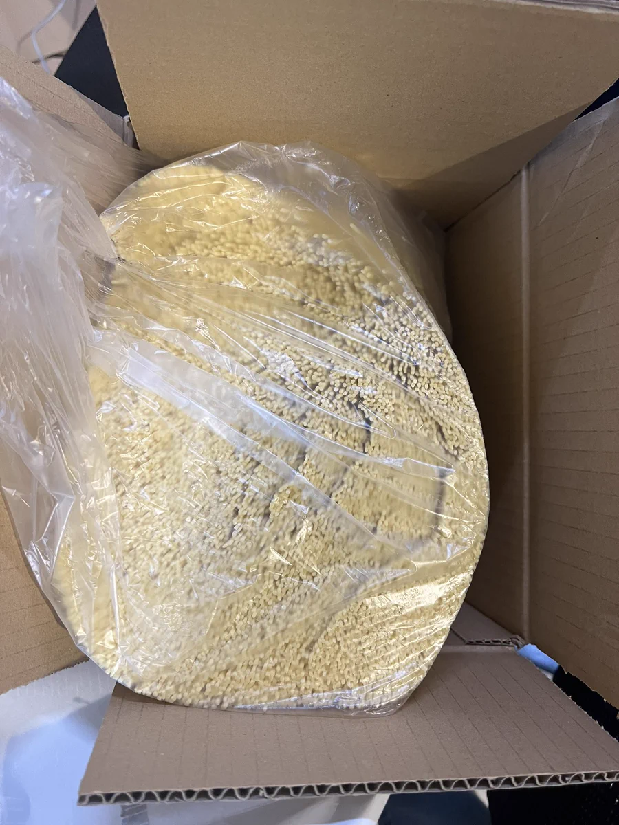 ふるさと納税でパスタ4.7kg頼んだ結果？一袋でやってきたwww