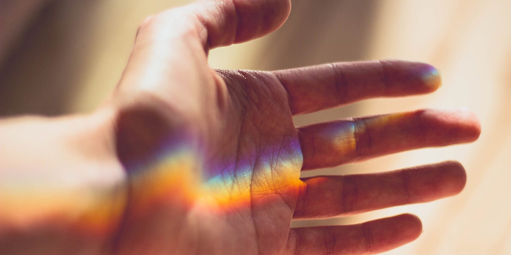 De essay van onze lector Hester IJsseling - genomineerd voor de Robbert Dijkgraaf Essayprijs - nu te lezen op Nieuw Wij nieuwwij.nl/opinie/sensus-…