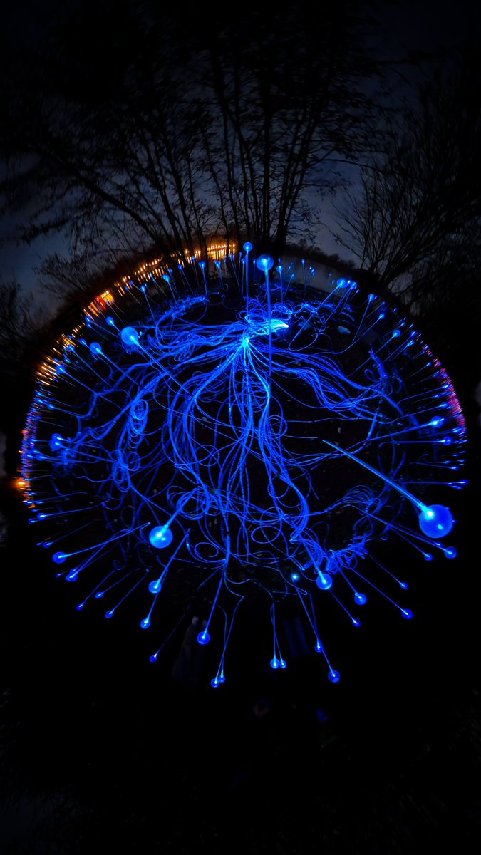 activrightbrain's tweet image. Amongst 2021’s pain (#COVID19 #F1 extreme weather, etc) @bruce_munro’s amazing #lightatmarstonpark installation offered a little #Christmas Magic this weekend @MarstonPark.

The Matti Suuronen @FuturoHouse is an added bonus!

#IoT #Design #Art #MondayMotivation #mondaythoughts