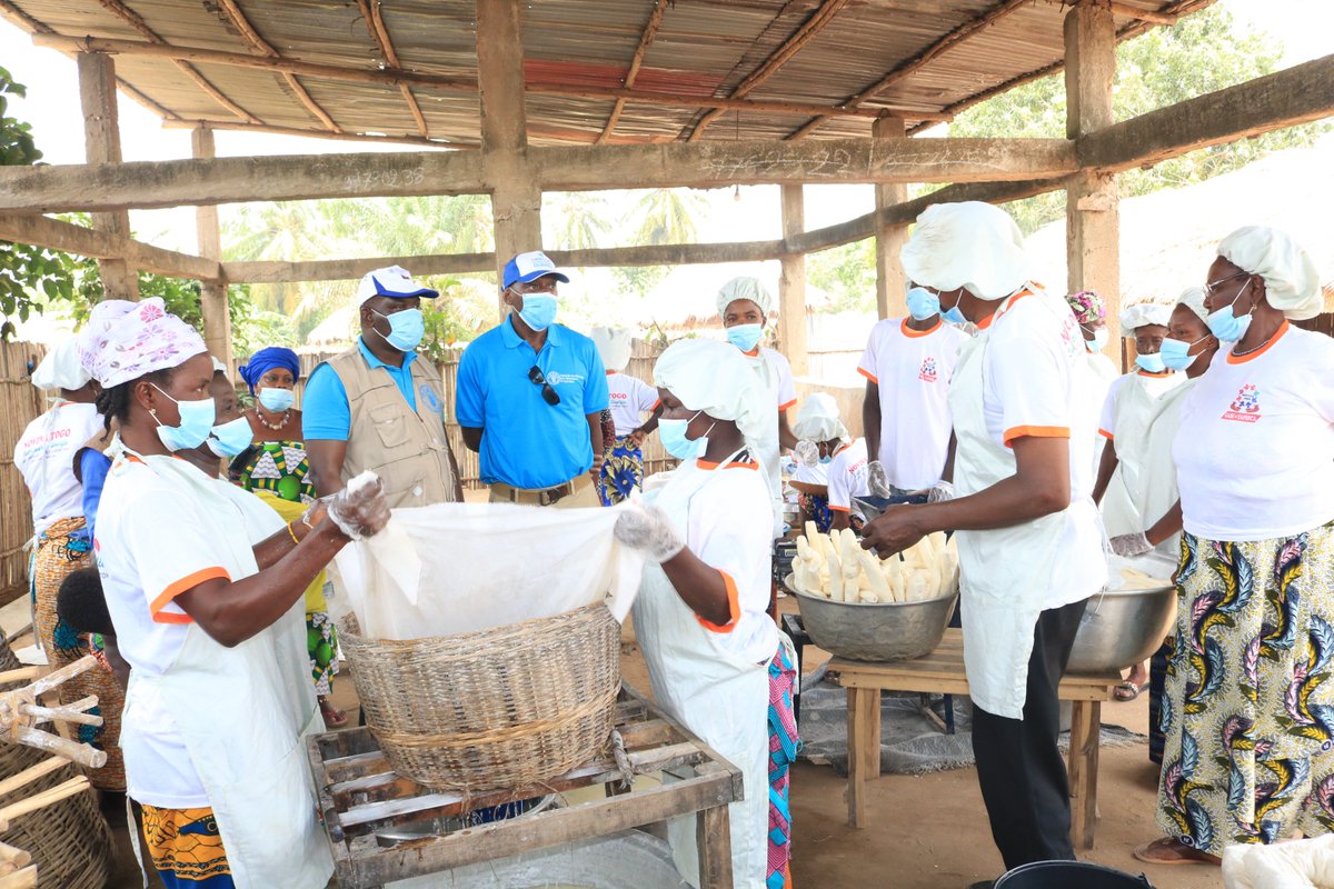FAOauTogo's tweet photo. Le FAOR a.i du Togo @MphumuziSukati , visite NOVIVA, une unité de transformation du manioc en gari et tapioca, dans les Lacs. "c'est un bon commencement, il faut saisir l'opportunité des nouvelles technologies pour innover et améliorer la production du gari et dérivés." https://t.co/6KE2LgE14Y