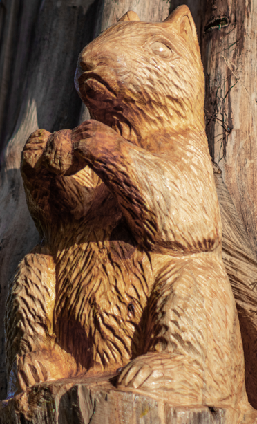 Burwell House tweet media