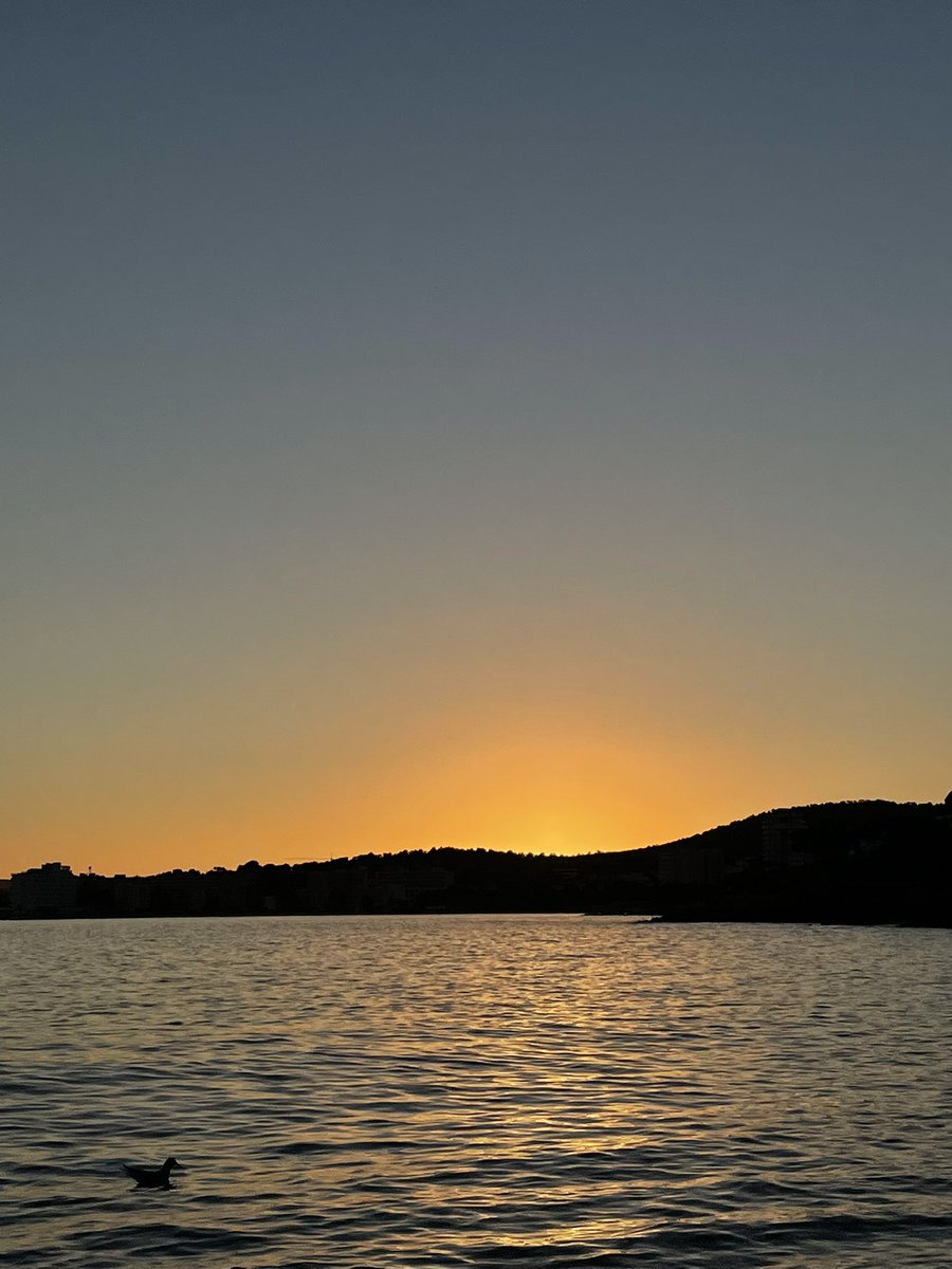 ésta foto la hice ayer …