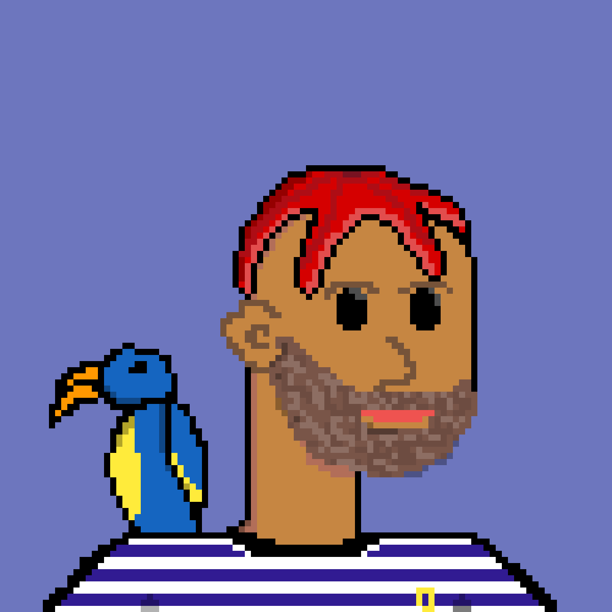 Birates1's tweet photo. Gm gm, Monday blues dont apply when you have a starfish on your head and parrot on your shoulder  #birates #nft https://t.co/hhb0ZIVip6