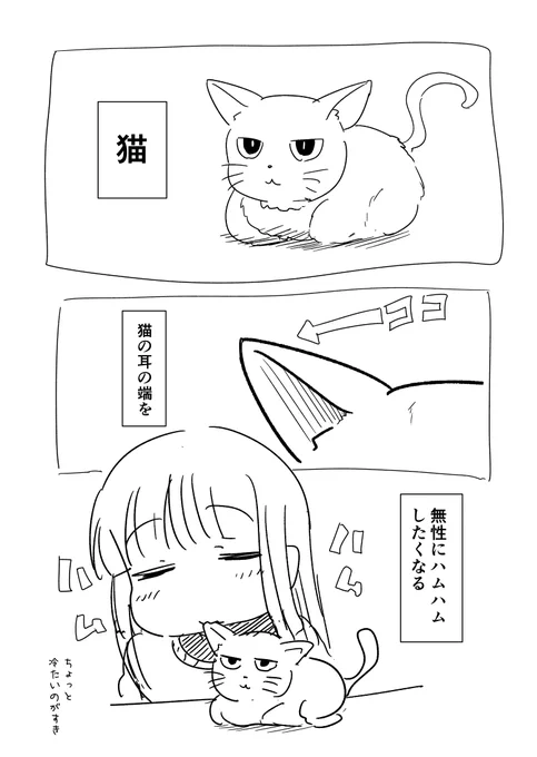 猫の耳 