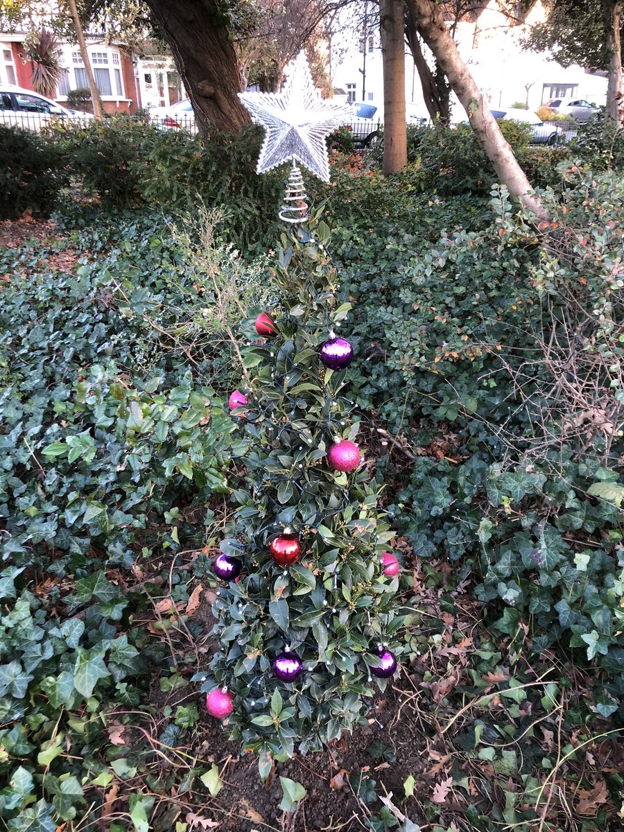 CranbrookGarden's tweet photo. Season’s Greetings to all from the neighbours @GardenRedbridge !!  We hope you enjoy the twinkling display in @CranbrookGarden as you pass by! https://t.co/mk7DeWKfGf
