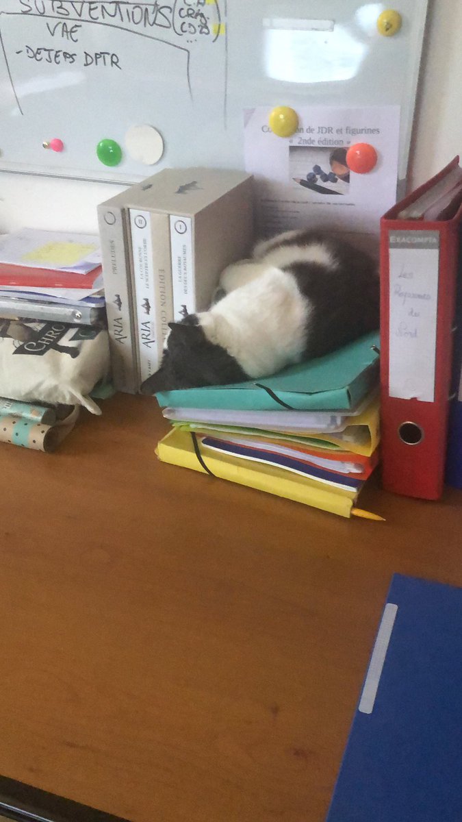MalcovitchV's tweet photo. J’ai mon garde campagne de #JDR …
#COF de @BlackBookjdr est bien protégé.
@FibreTigre , on croit pas comme ça mais elle est hyper agressive. 🤣 https://t.co/RiQLZH9km7