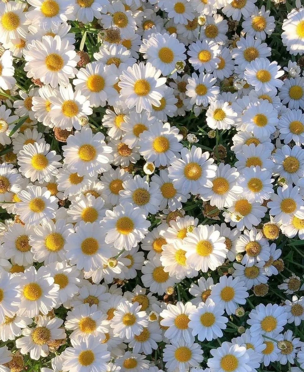 minimalism (@youminimalism) on Twitter photo 