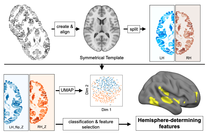 PatFriedrich tweet media