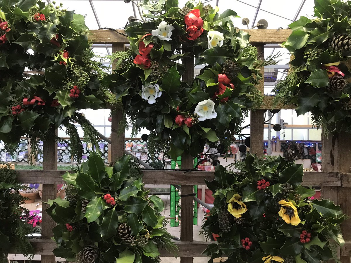 Freshly made Christmas planter and decorations also #hollywreaths #Christmas #wreaths #barnstaple