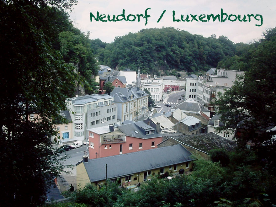 luxembourgize's tweet photo. #NeudorfDirectBridge opposition:
"Forest will be destroyed"
"What about the owls?"
"Bridge should be near church"
"We don't want any bridge"
Mobility alderman @P_Goldschmidt: "You can't build it everywhere, geological requirements and landownership need"
https://t.co/waRSgrXC0W https://t.co/haj44jsaVn