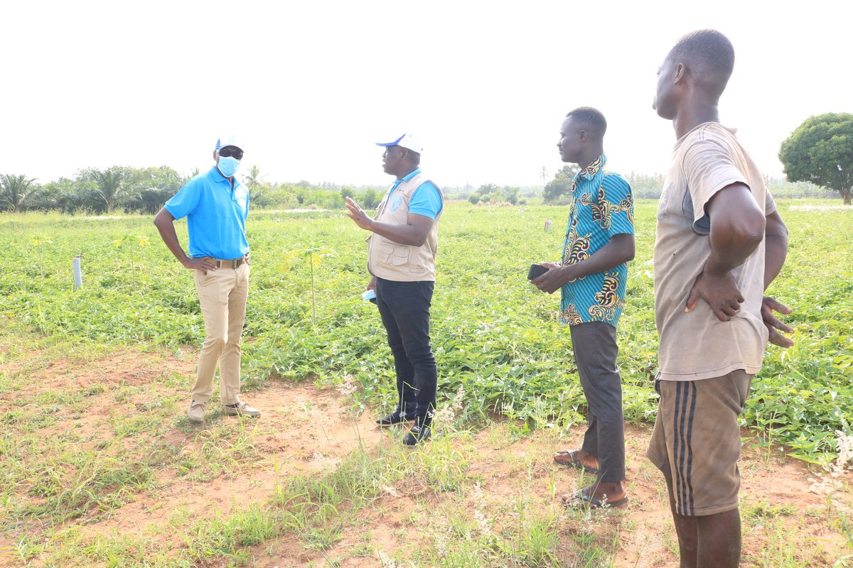 FAOauTogo's tweet photo. visite du site maraicher installé et aménagé par @FAOauTogo à Aklakou, avec maitrise totale de l'eau dont le pompage utilise de l'énergie solaire https://t.co/9A6Z3bJ9vb