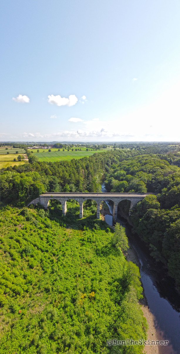 BenTheSkinner's tweet photo. Nidd Gorge, North Yorkshire, Summer '21. https://t.co/ynt0bovOiN