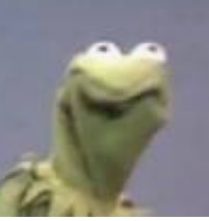 JustSam1000's tweet image. Frog