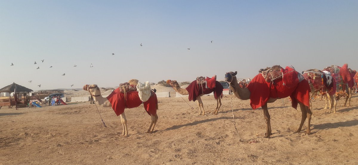 Himal Magar (@himal1977) on Twitter photo 