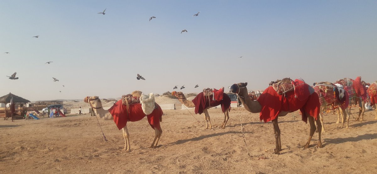 Himal Magar (@himal1977) on Twitter photo 