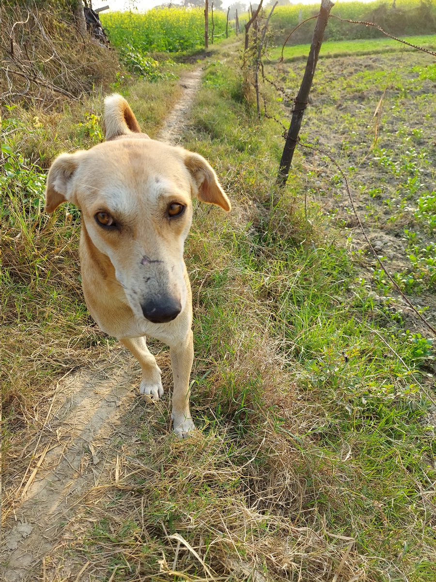 prabhatmisra's tweet image. Young generation is dedicated #ForBetterEarth, #ForEnvironment &amp;amp; #ForNature. It's the #FundamentalDuty of current adult generation to #ActForNature &amp;amp; transfer the #livableplanet to young generation before leaving Earth.