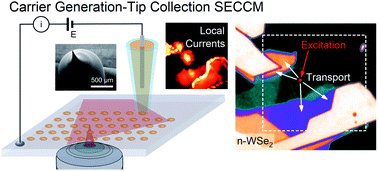 NanoECimaging's tweet photo. Electrochemically probing exciton transport in monolayers of two-dimensional semiconductors https://t.co/SA2zy24Cjw https://t.co/qgU7ACeegp