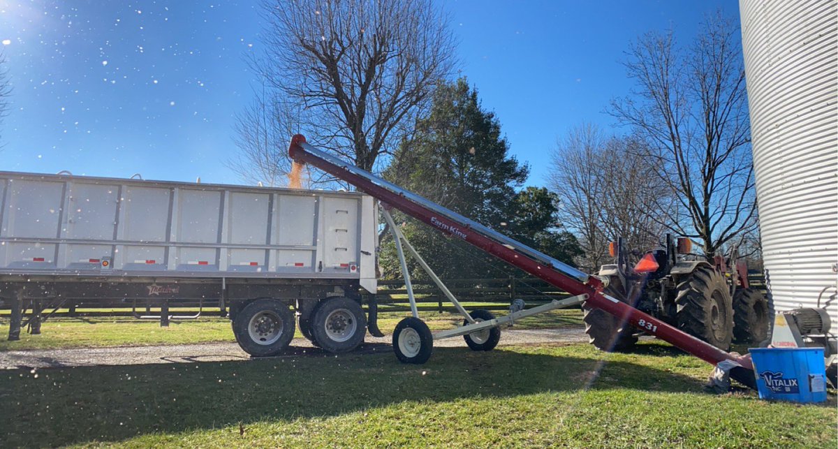 Hotel California Angus Farm - Sam tweet media