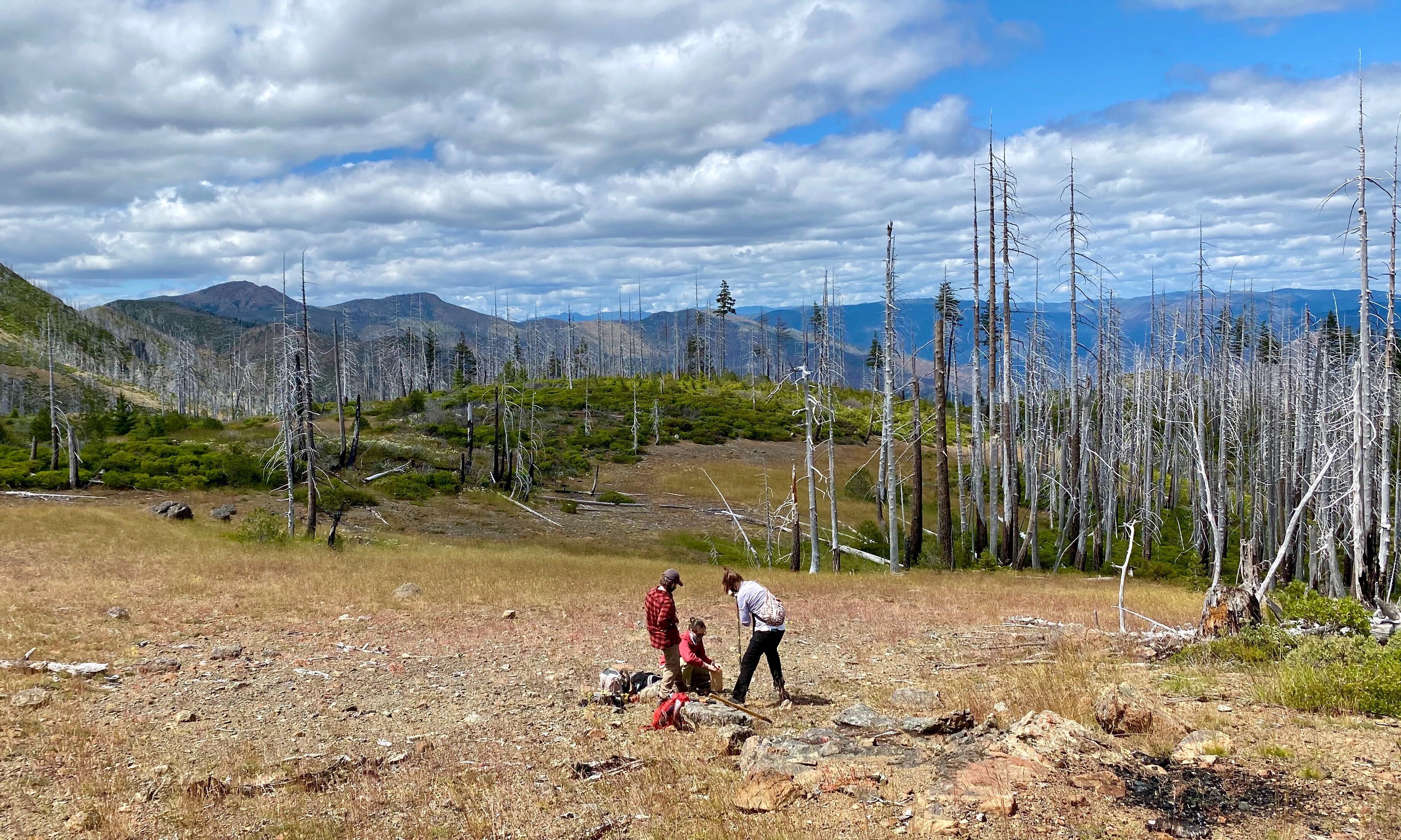 Three young women take a soil core in a grassland next to a burned out forest with small mountains in the background.