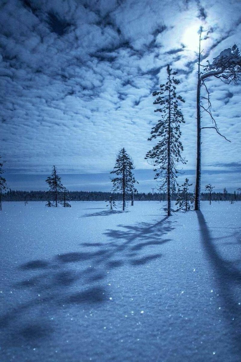NatureDevotee1's tweet photo. The Moon covered by clouds ! 🌕 https://t.co/KfctjcBF5X