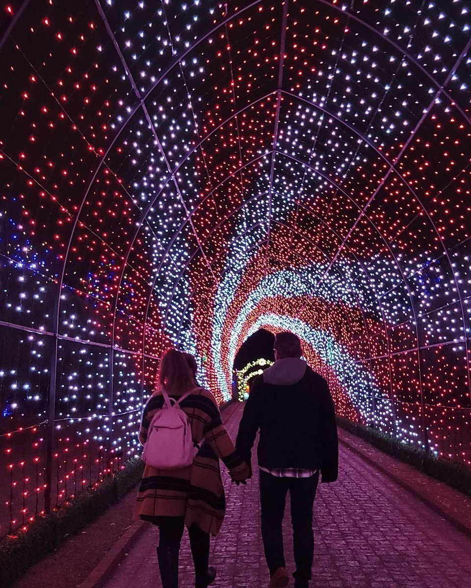 Light up your Denver night. Featuring a dazzling and ever-changing display of light and color, the Blossoms of Light at the <a href="/Denver/">Denver</a> Botanic Gardens is perfect for a memorable holiday gathering.

Photo: amber.waves_of_grain