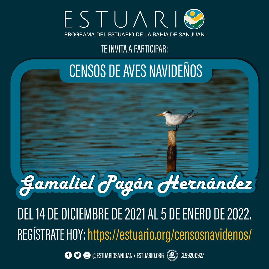 Este martes, 14 de diciembre comienzan los Censos de Aves Navideños Gamaliel Pagán Hernández 2021-2022. Regístrate hoy, en estuario.org/censosnavideno….