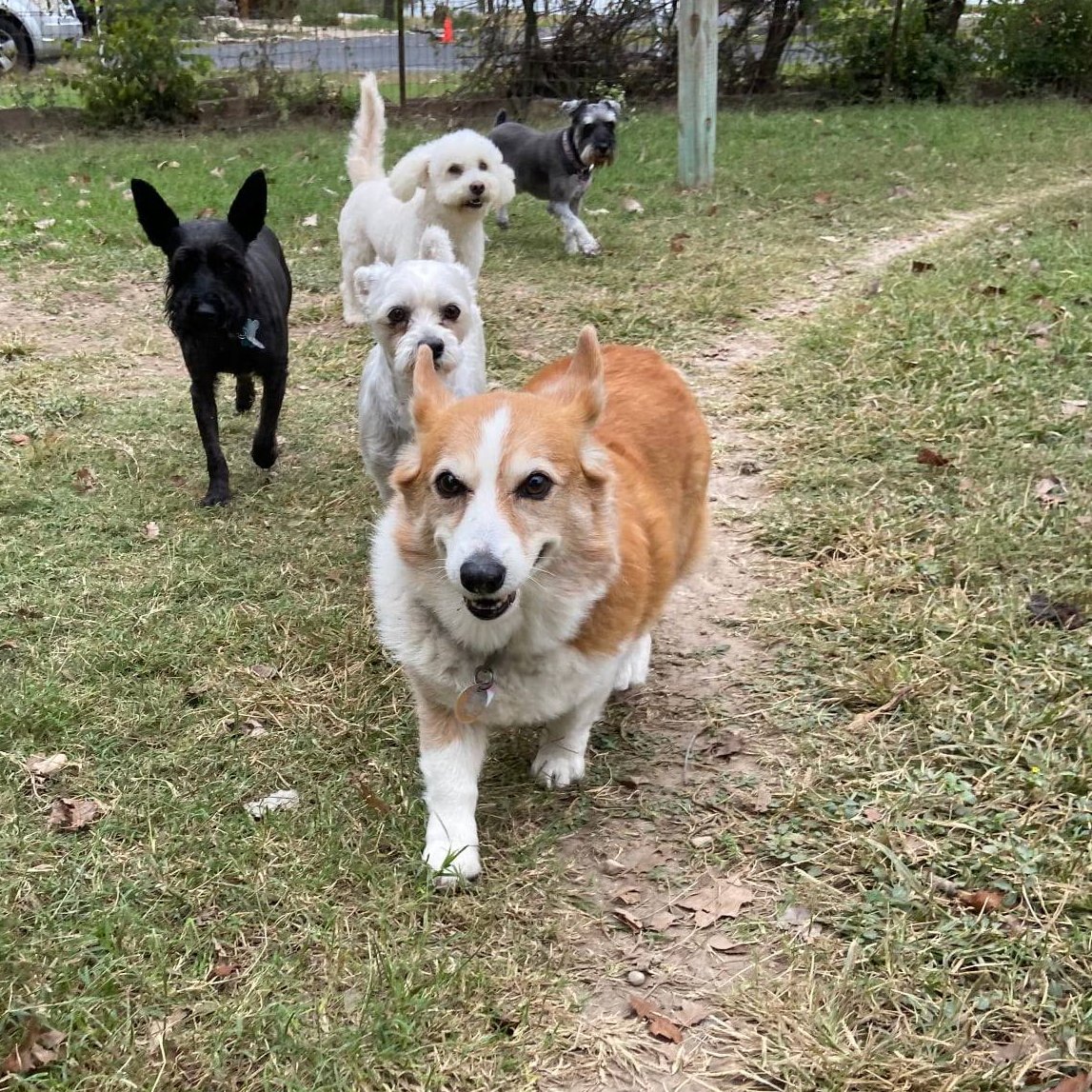 Happy Howlidays! Check out our latest news!

conta.cc/3EQUR5r