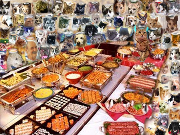 JinJinDoggy's tweet photo. Today #AngelGang celebrates our  beloved @danapixie 's best boy ever #AngelTSK's 5th OTRB angelversary. His sisfur &amp; Daffy &amp; all angels gather round him for big banquet including fishy buffet, bacon towers and Nip champagne in his honor. Huge huge to Mama Dana &amp; Daddy Jim. https://t.co/ENUOYuknYc