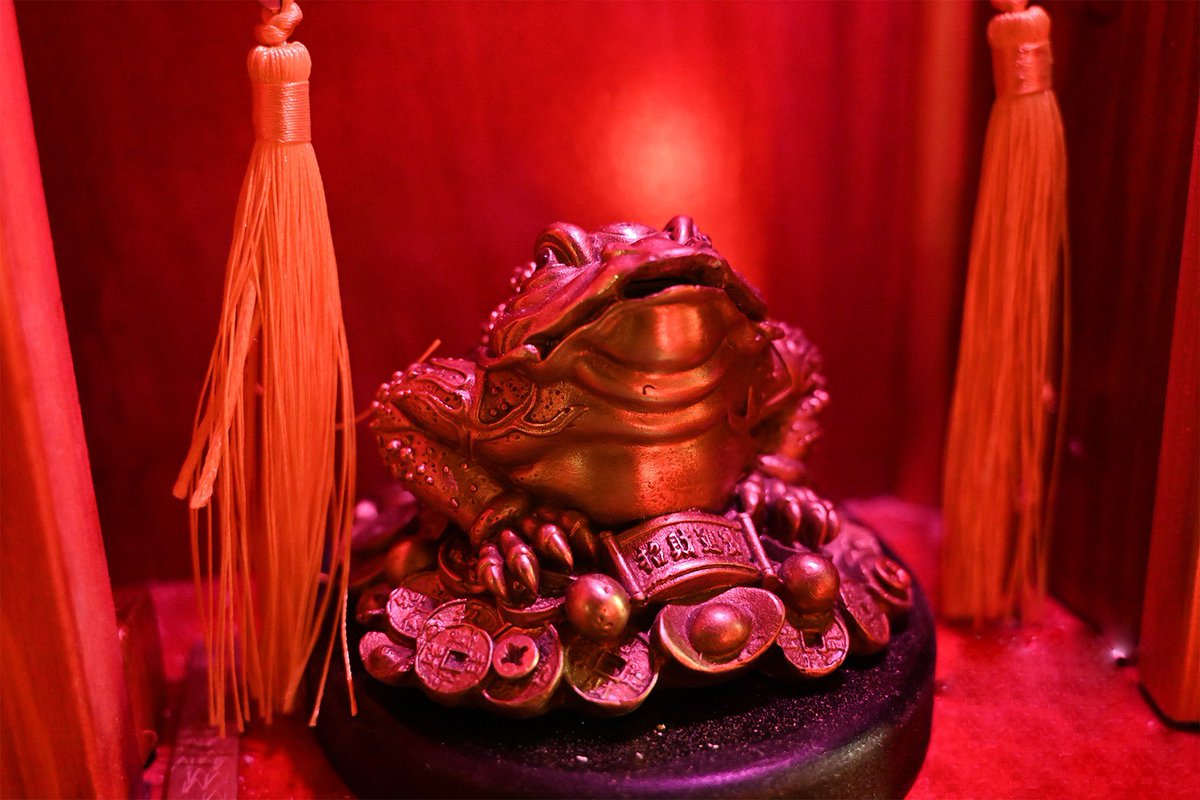 EscapeGame•fr tweet media