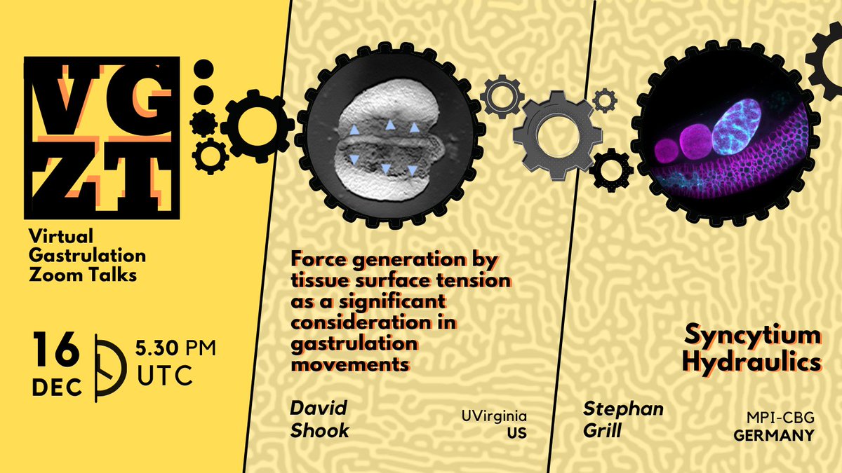 Virtual Gastrulation Zoom Talks tweet media