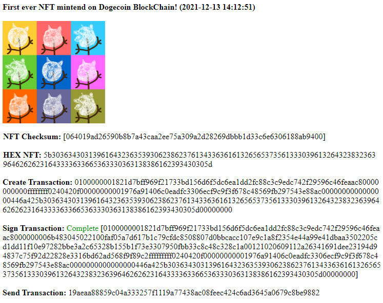 Paulo Vidal tweet media