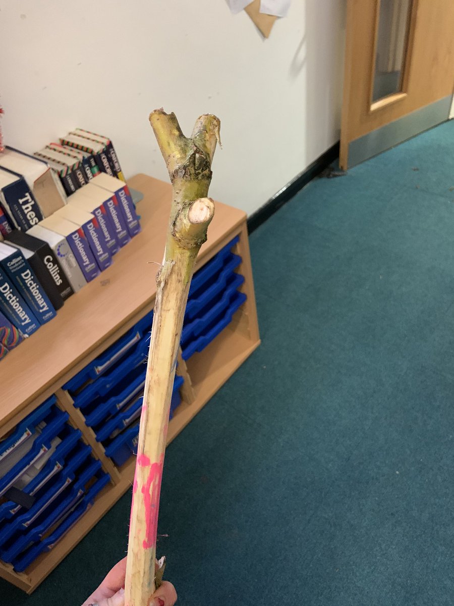 Outdoor Learning at Winsford High Street tweet media